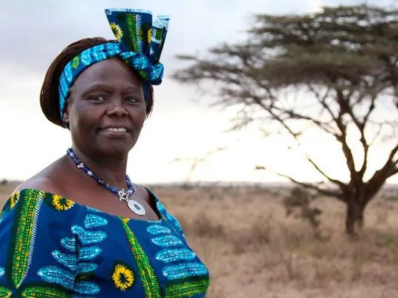 Wangari Maathai